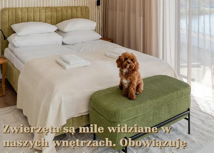 Baltycka 20 Surfingbird